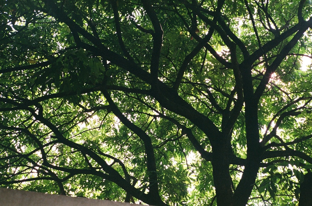 ТОП-7 мобільних додатків для читання новин: огляд і поради щодо вибору